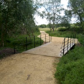 Bridge at Moors Valley Country Park