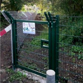 Sanctuary Fencing